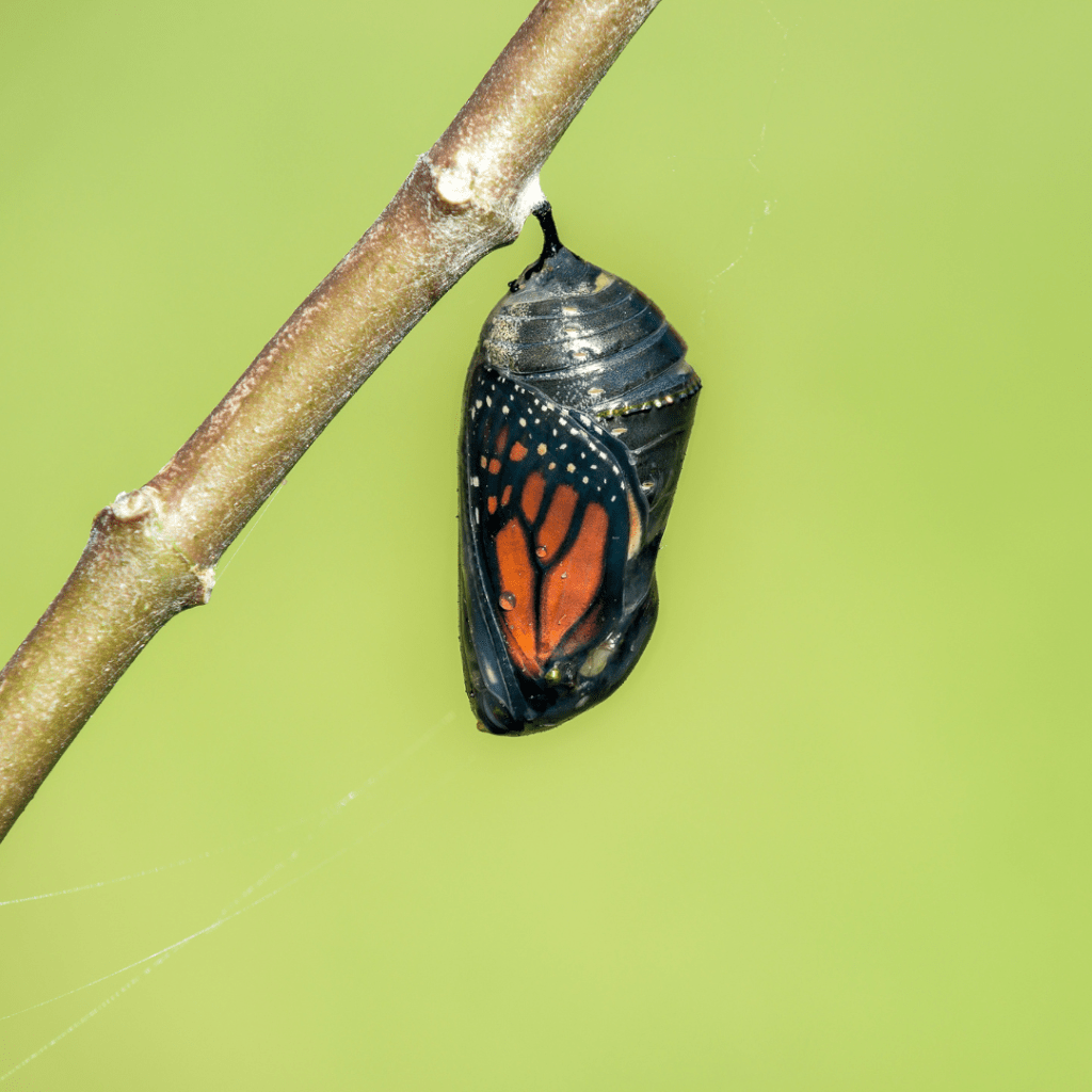 Advantages to Being a Beginner: Benefits of a Beginner&nbsp;Mindset